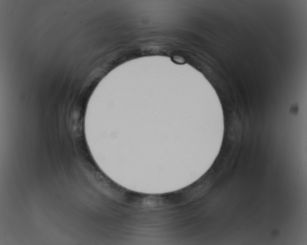X0000115760420200912241733