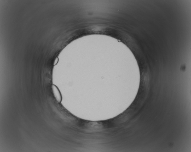 X0000115760421200912241733