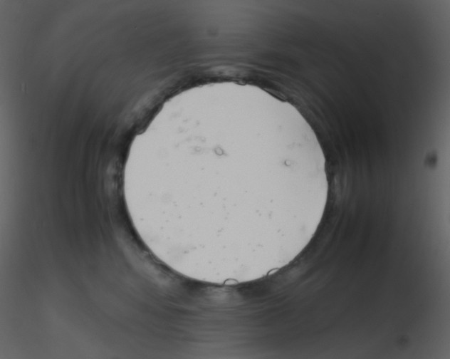 X0000115760424200912241733