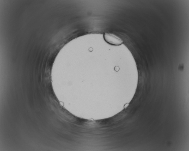 X0000115760425200912241733