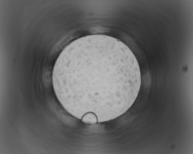 X0000115760426200912241733