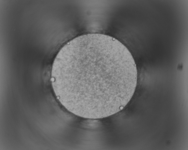 X0000115760427200912241733