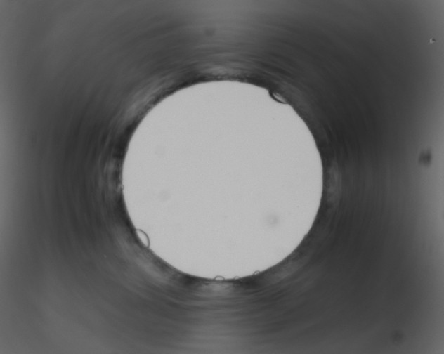 X0000115760428200912241733