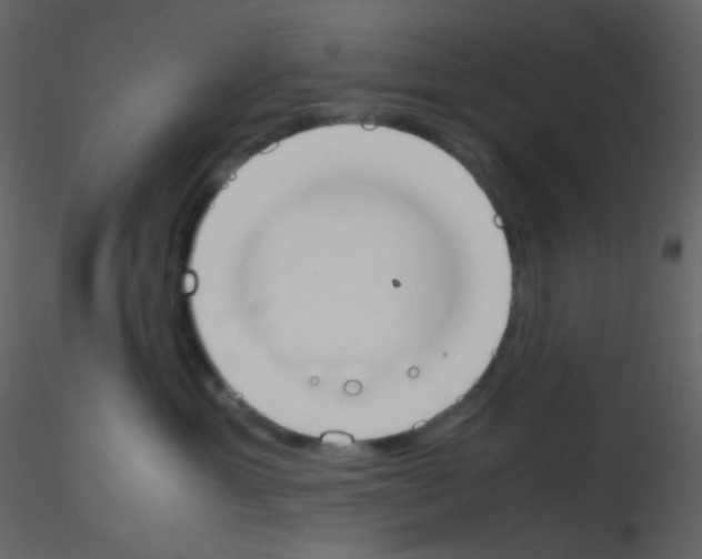 X0000115760429200912241733