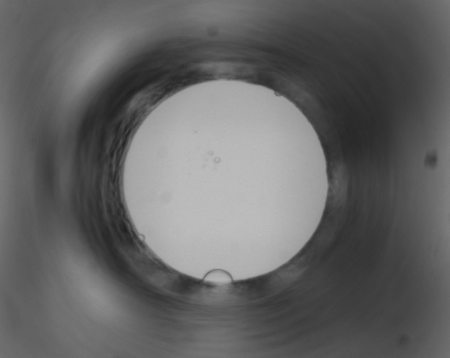 X0000115760430200912241733