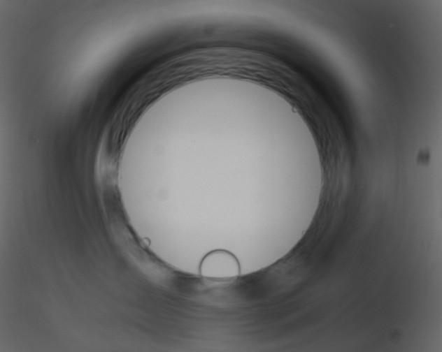 X0000115760431200912241733