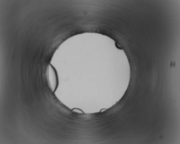 X0000115760432200912241733