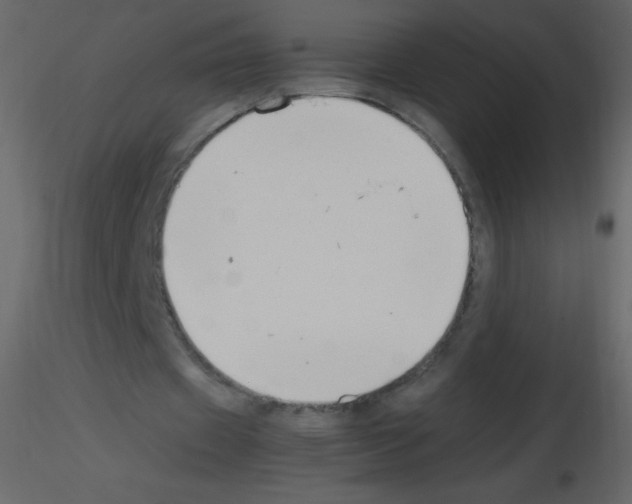 X0000115760433200912241732