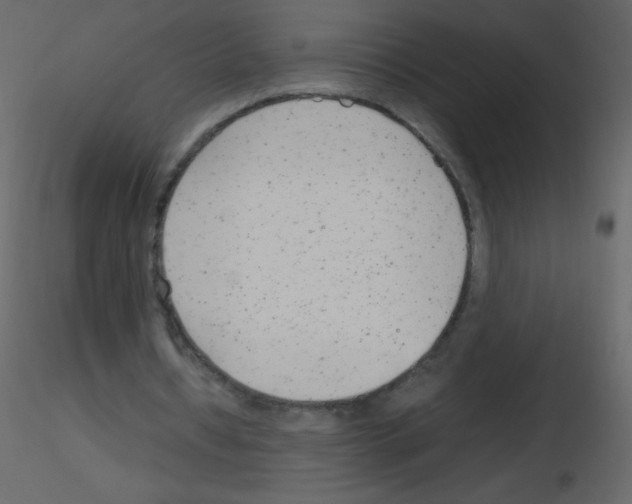 X0000115760434200912241732