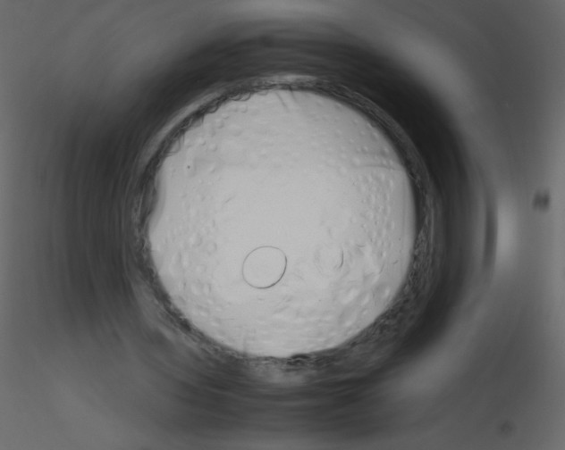 X0000115760435200912241732