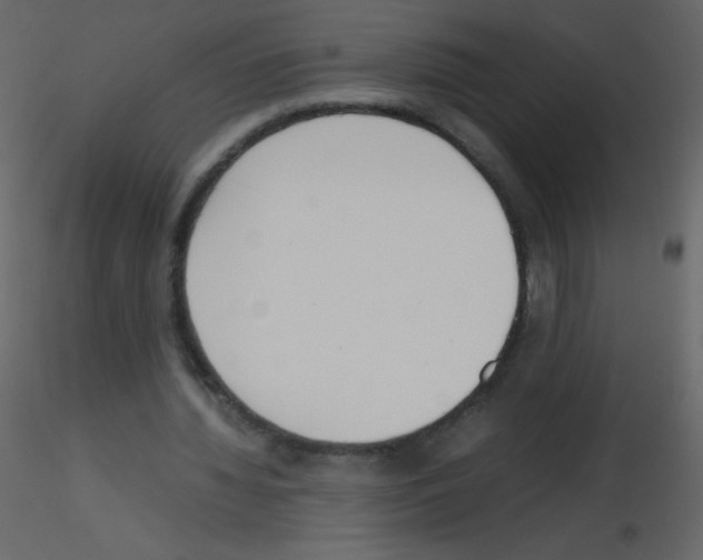 X0000115760436200912241732