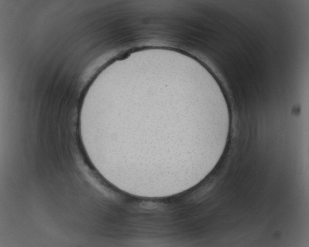 X0000115760437200912241732