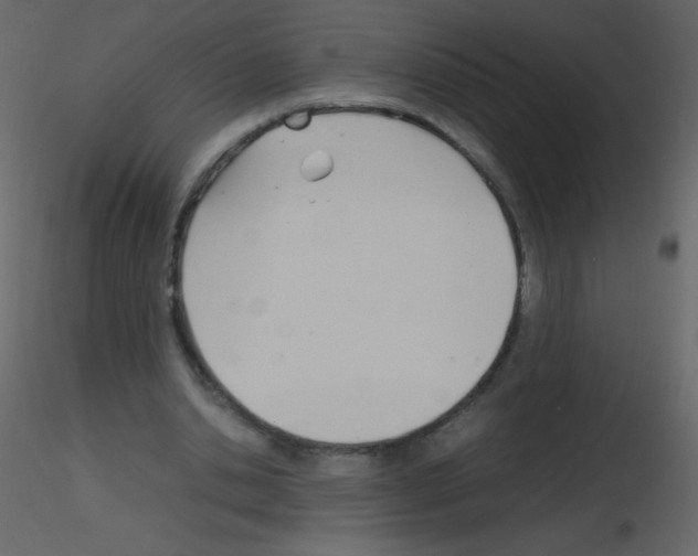 X0000115760438200912241732