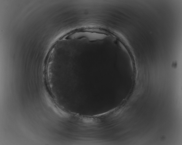 X0000115760439200912241732
