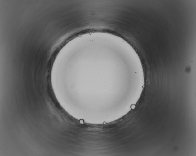 X0000115760440200912241732