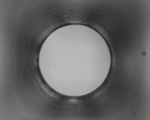 X0000115760441200912241732