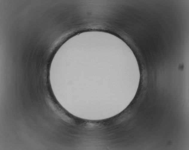 X0000115760442200912241732