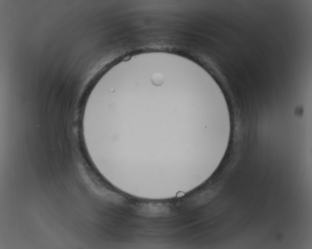 X0000115760443200912241732