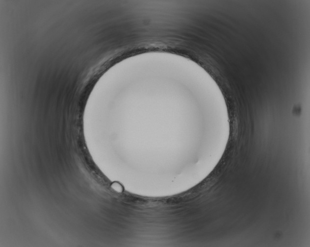 X0000115760444200912241732