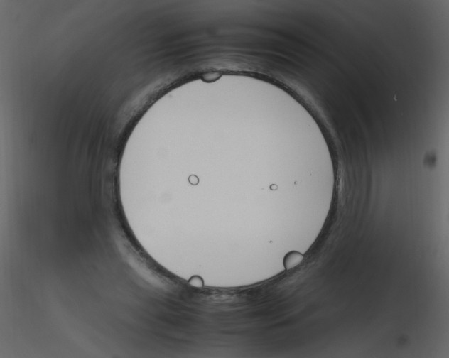 X0000115760445200912241732