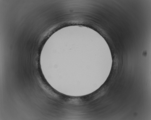 X0000115760446200912241732