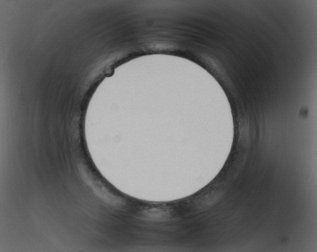 X0000115760447200912241732