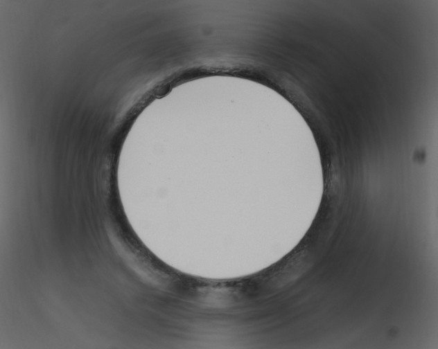 X0000115760448200912241732
