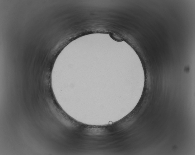 X0000115760449200912241732