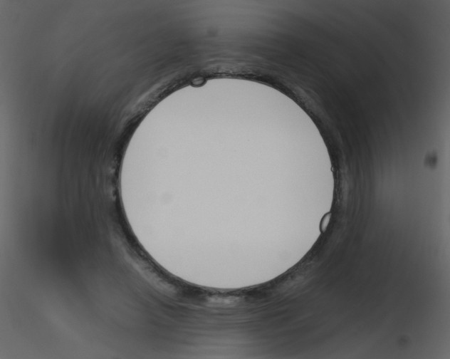 X0000115760450200912241732
