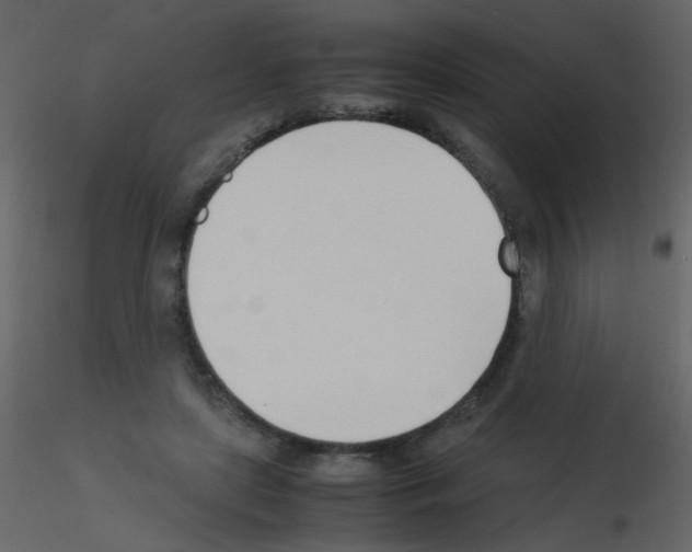 X0000115760451200912241732