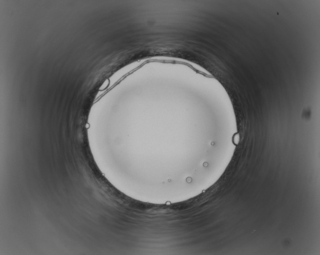 X0000115760452200912241732