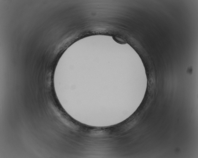 X0000115760454200912241732