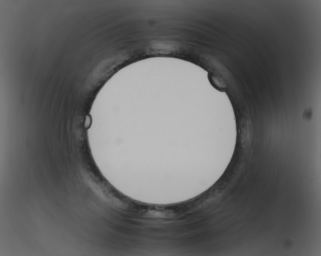 X0000115760455200912241732