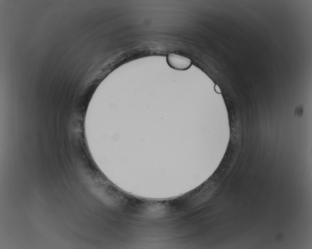 X0000115760456200912241732