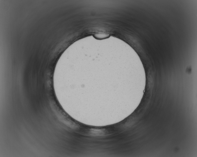 X0000115760457200912241732