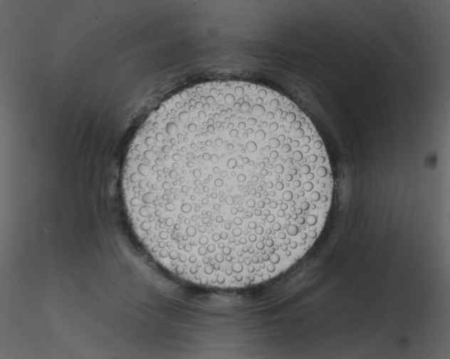 X0000115760458200912241732