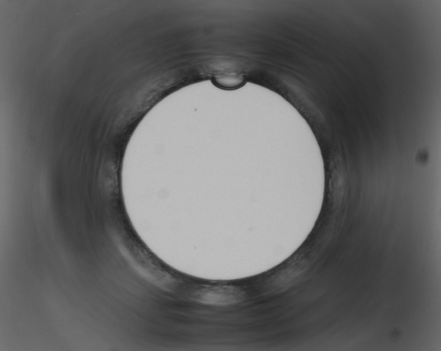 X0000115760459200912241732