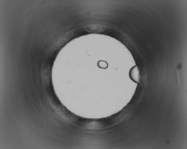X0000115760460200912241732