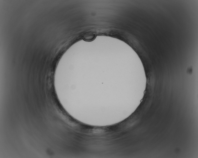 X0000115760462200912241732