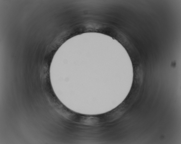 X0000115760463200912241732