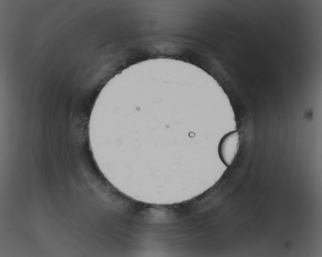 X0000115760464200912241732