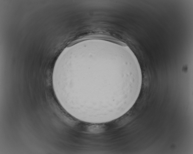 X0000115760465200912241732