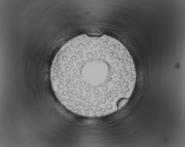 X0000115760466200912241732