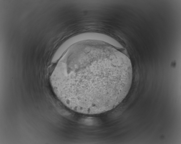 X0000115760467200912241732