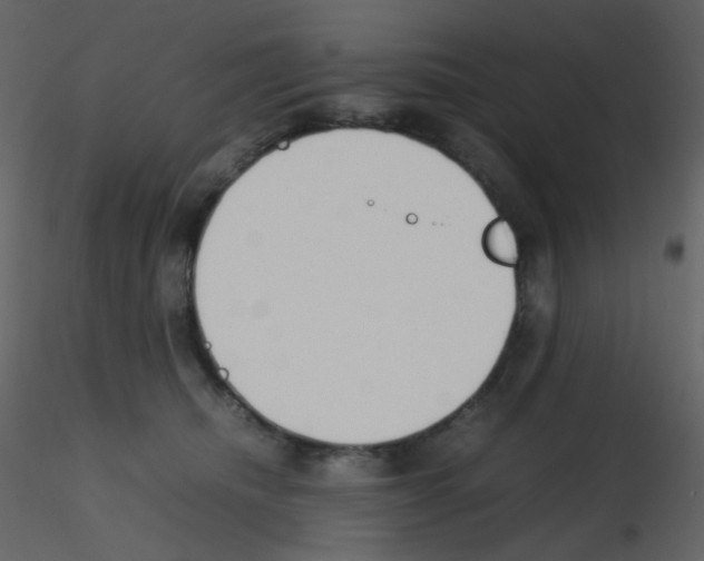 X0000115760468200912241732