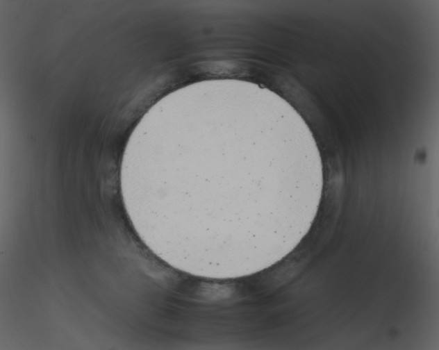 X0000115760469200912241732