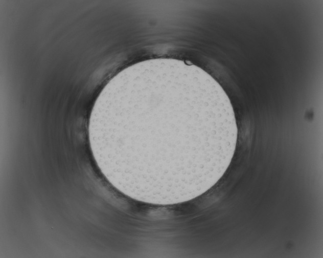 X0000115760470200912241732