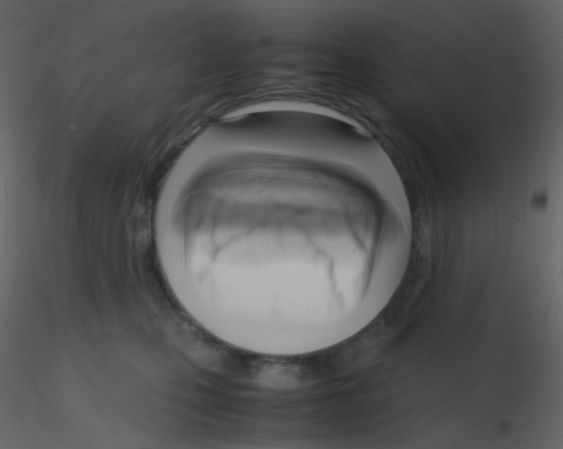 X0000115760471200912241732