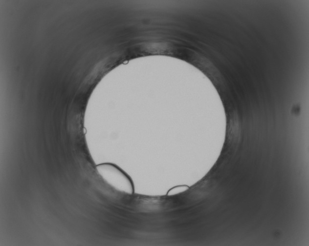 X0000115760473200912241733