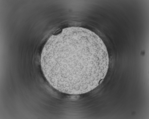 X0000115760474200912241733